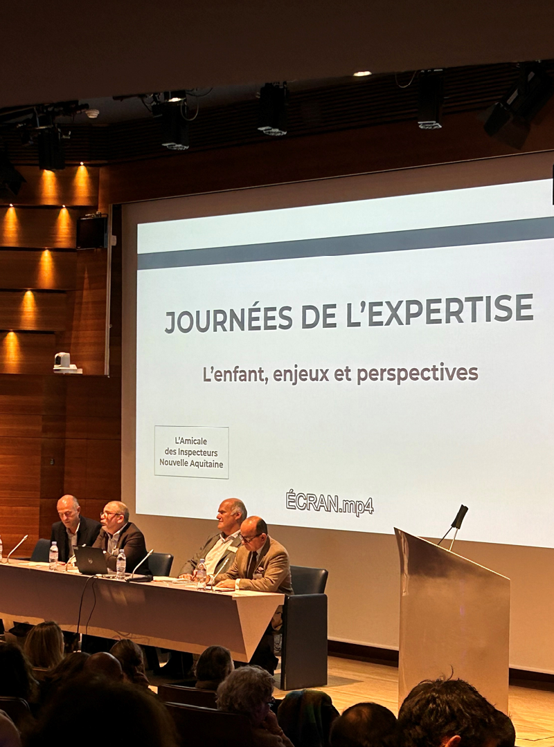 journées expertises4